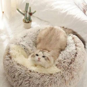 puppybeds