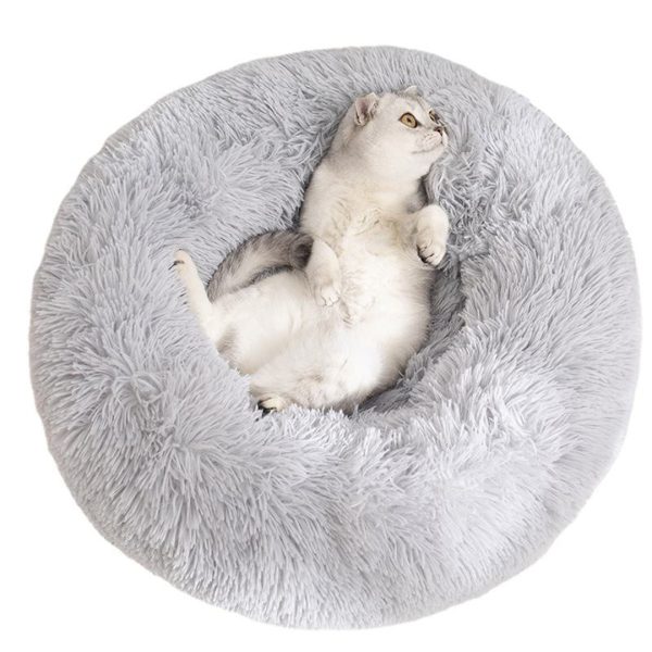puppybeds